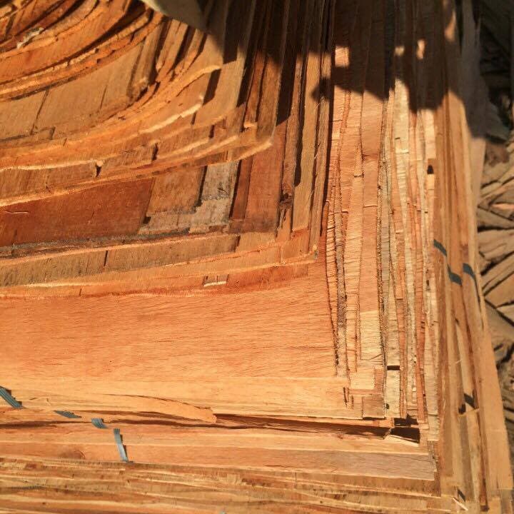 Eucalyptus core veneer